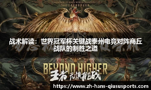 球速体育首页